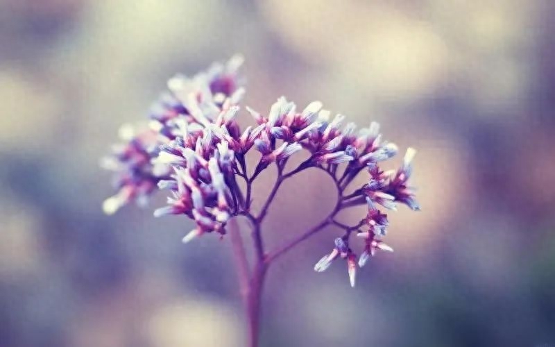 同学聚会经典句子70条经典语录大全(图3)