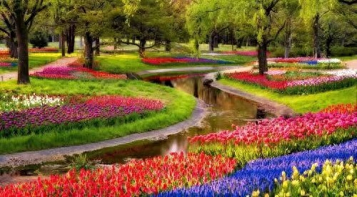 同窗欢聚感言 文/李思義(山东临沂)(图3)