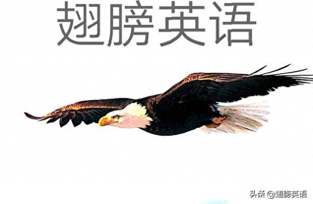 惊艳的英语来自积累（精选100个经典句子背一背）(图3)