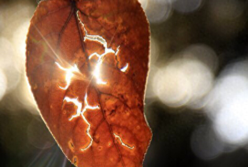 恋爱纪念日甜蜜句子，纪念日文案超甜暖心(图3)