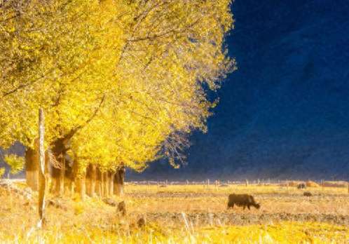 恋爱纪念日甜蜜句子，纪念日文案超甜暖心(图4)