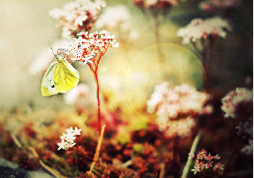 恋爱纪念日甜蜜句子，纪念日文案超甜暖心(图5)