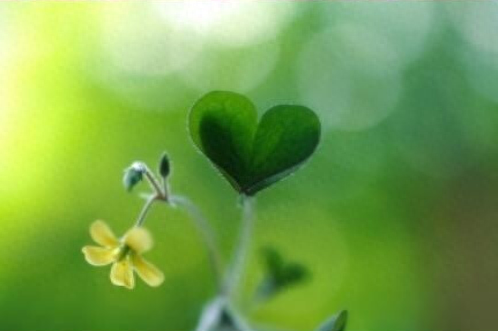 恋爱纪念日甜蜜句子，纪念日文案超甜暖心(图6)