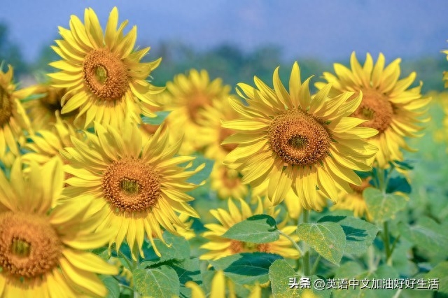 美好时光，保持快乐 Keep Happy(图2)