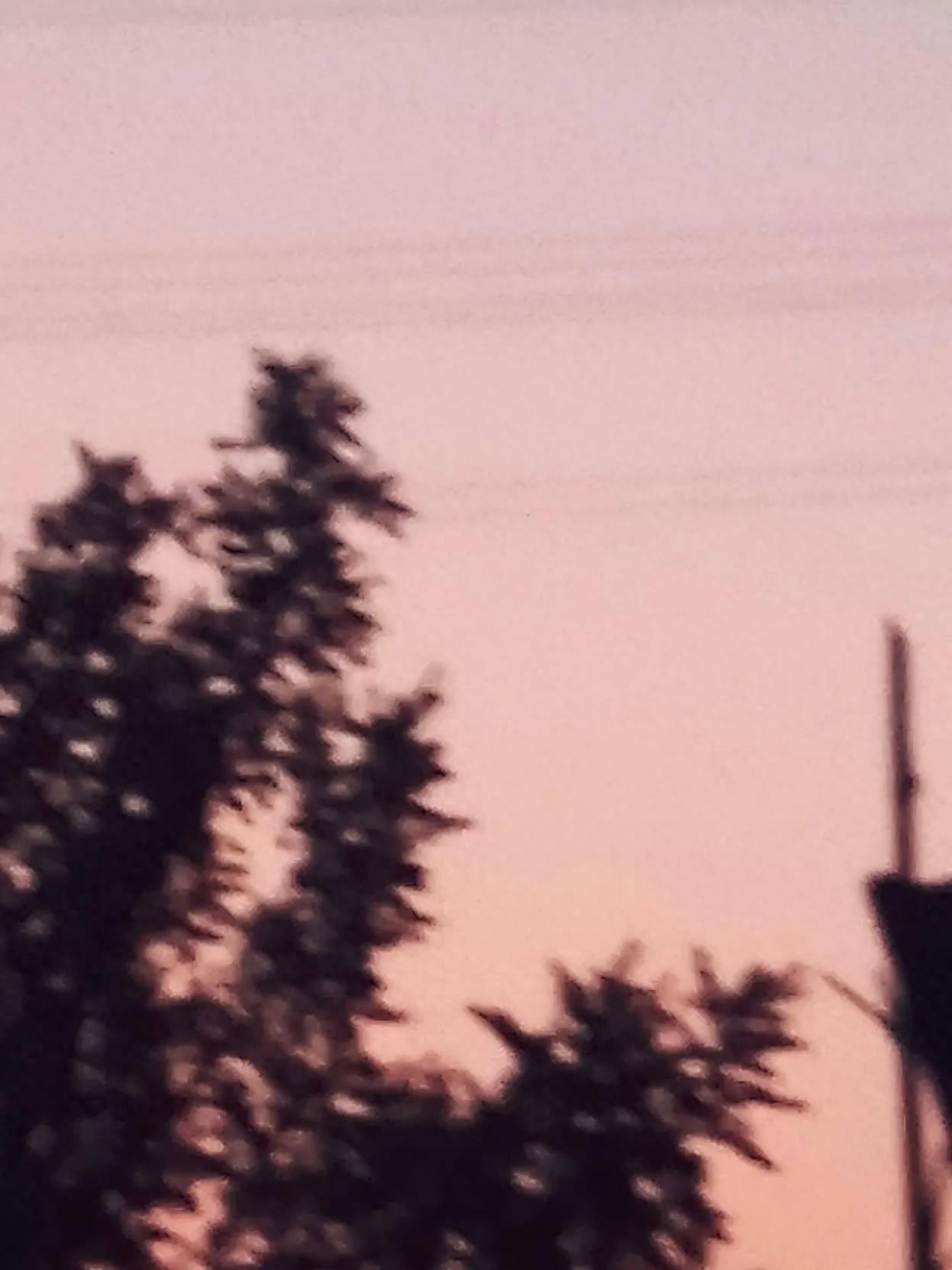 小众又惊艳的英文句子(图4)