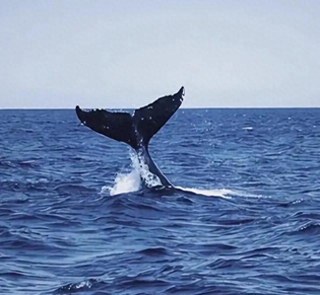 小众又惊艳的英文句子(图6)