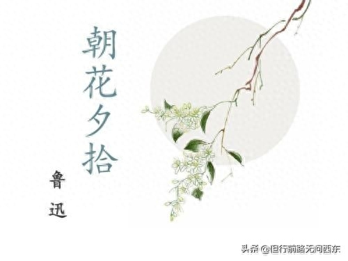 鲁迅《朝花夕拾》范爱农：学问到最终 就是对人的理解(图1)