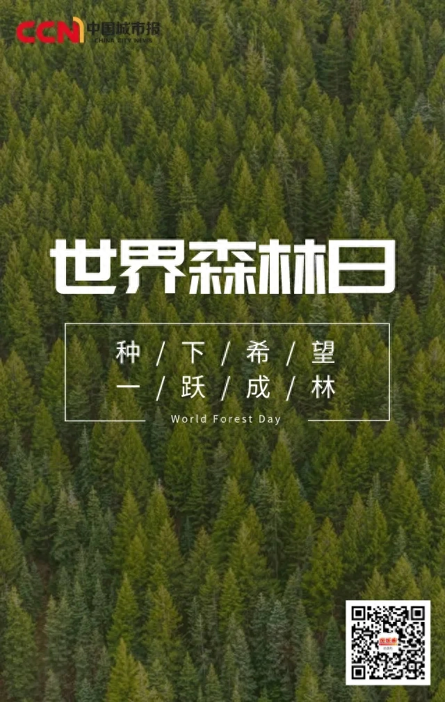 世界森林日：一呼一吸皆是绿意(图2)