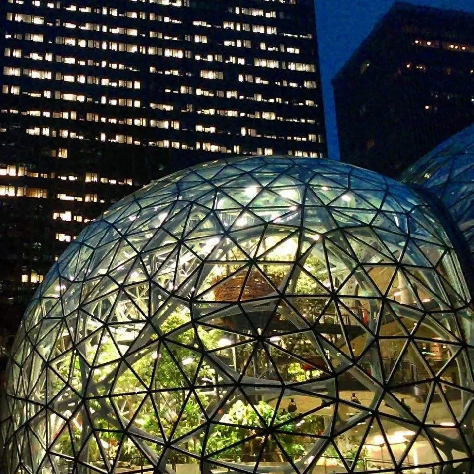 世界森林日：一呼一吸皆是绿意(图6)