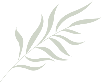 WIK· 世界森林日｜保护森林 青山长存(图6)