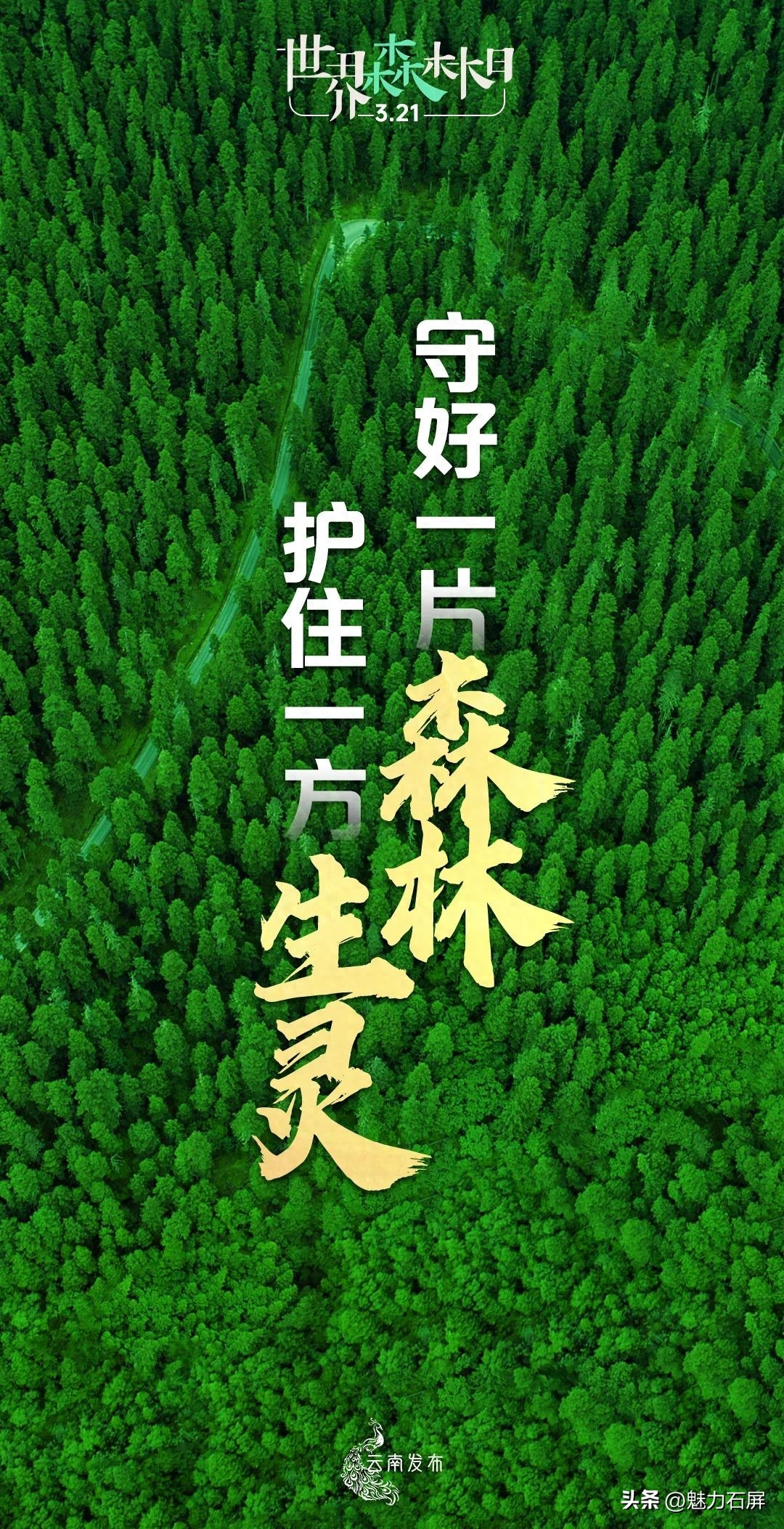 世界森林日丨守好一片森林，护好一方生灵(图1)