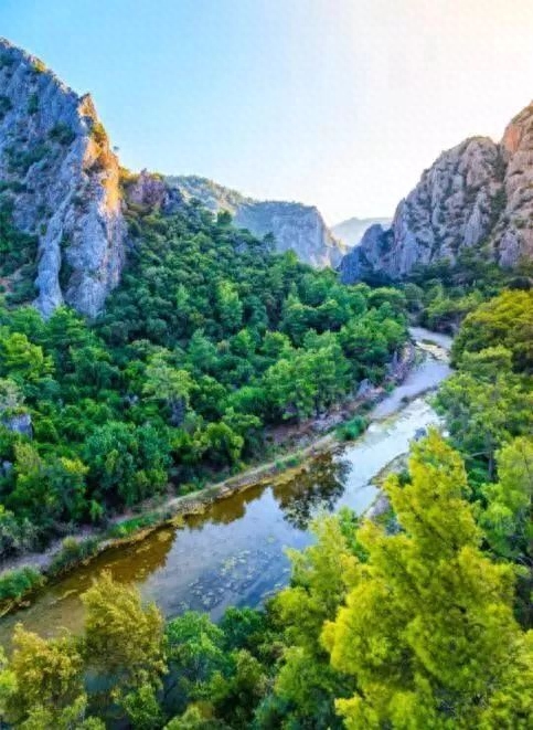 3.21世界森林日，一起为我们的家园添点绿吧！(图6)