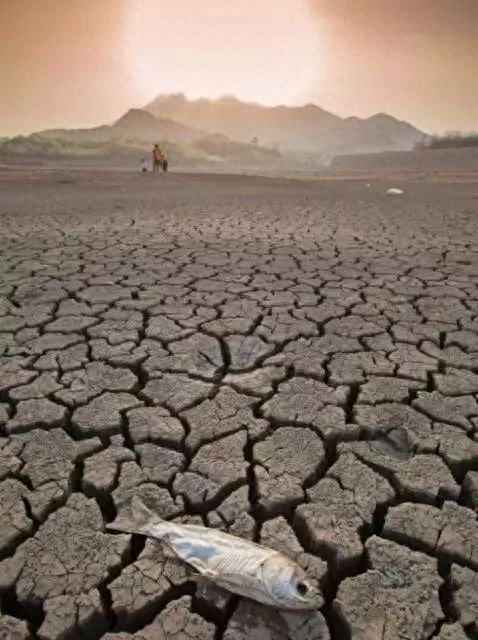 3.21世界森林日，一起为我们的家园添点绿吧！(图11)