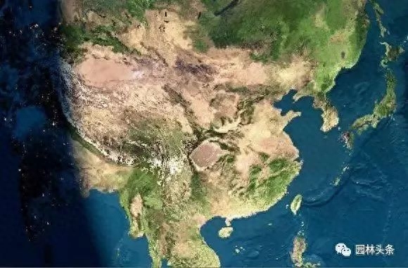 3.21世界森林日，一起为我们的家园添点绿吧！(图12)