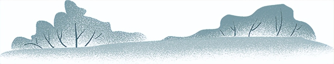 世界森林日｜守护地球“绿肺”，共筑美好家园(图1)