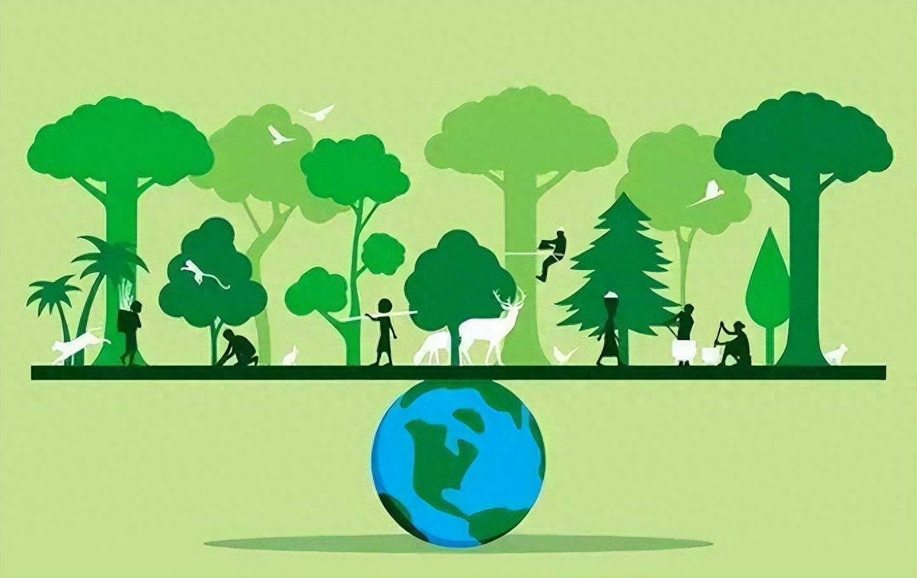 世界森林日|守护地球“绿肺”,共筑美好家园(图4) 世界森林日|守护地球“绿肺”,共筑美好家园(图4)