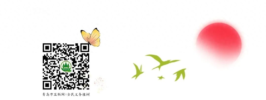 世界森林日|守护地球“绿肺”,共筑美好家园(图6) 世界森林日|守护地球“绿肺”,共筑美好家园(图6)