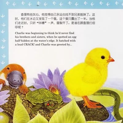 书单丨永远保持好奇心的人,是永远进步的人(图15) 书单丨永远保持好奇心的人,是永远进步的人(图15)