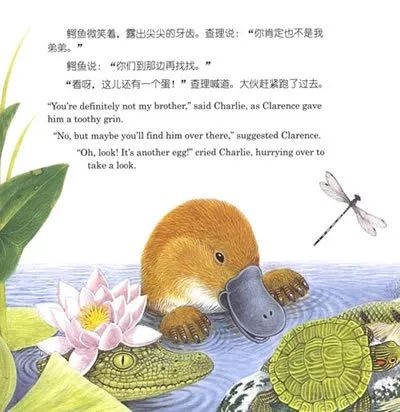 书单丨永远保持好奇心的人,是永远进步的人(图16) 书单丨永远保持好奇心的人,是永远进步的人(图16)