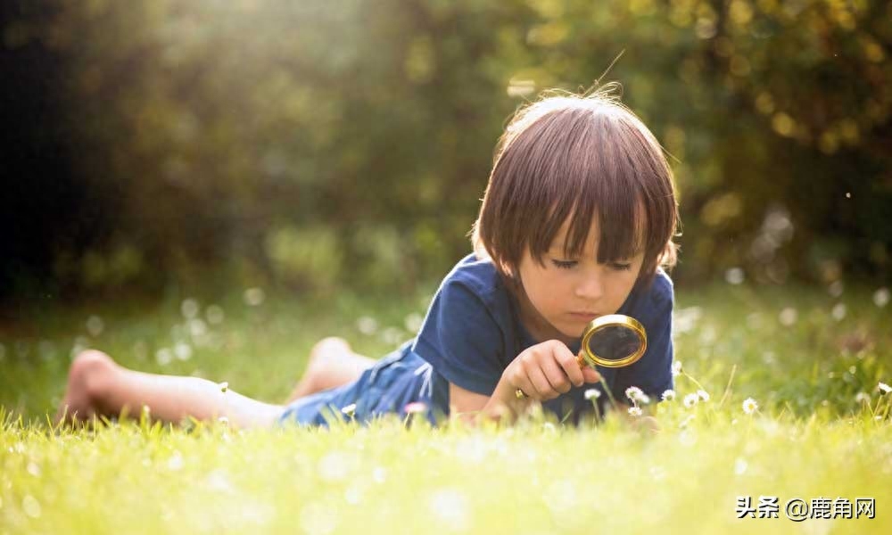 我们对未知事物的好奇，会像对食物的渴望一样吗？(图4)