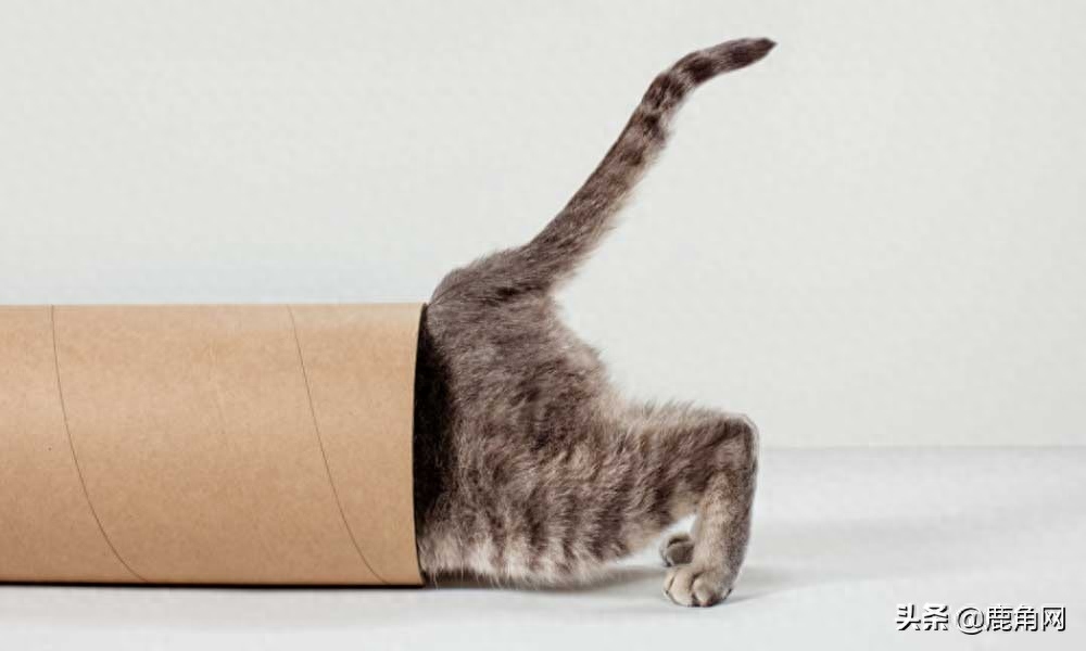 我们对未知事物的好奇，会像对食物的渴望一样吗？(图7)