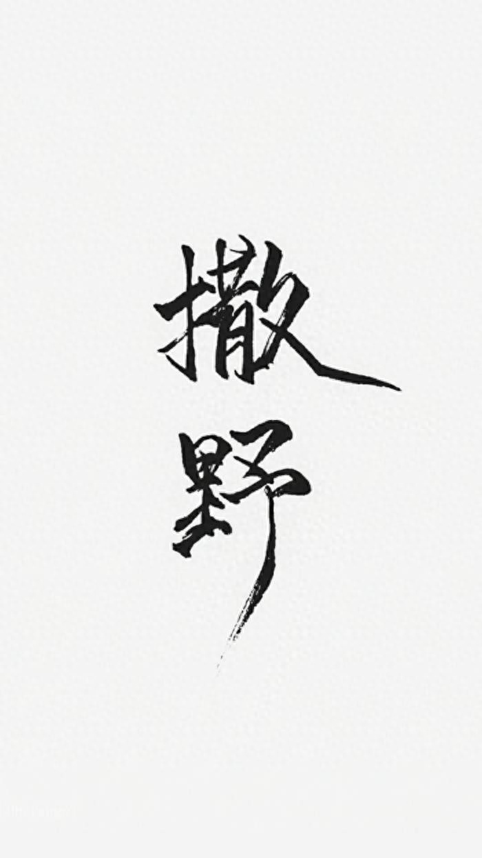 《撒野》中用于早安打卡的励志语录，这句用的人最多(图1)