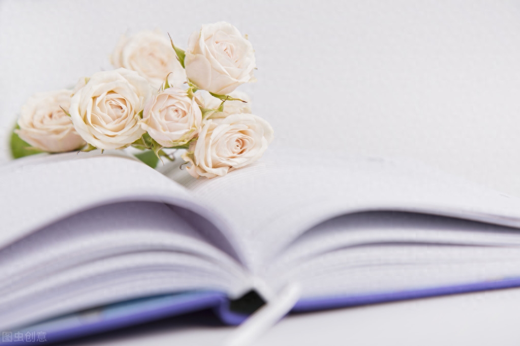 写领导讲话材料常用的排比句——“忠诚”篇(图1)