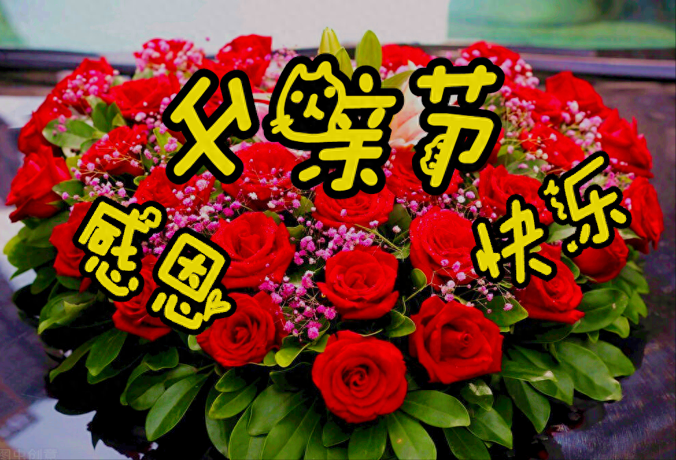 一花一祝福，6.19“父亲节”快乐，感恩父爱如山，父爱真情永相伴(图4)