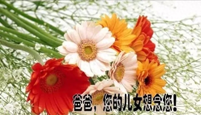 父亲节，写给我天堂里的父亲(图2)