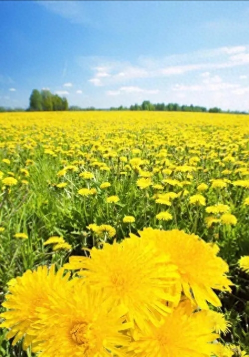 父亲节，写给我天堂里的父亲(图4)