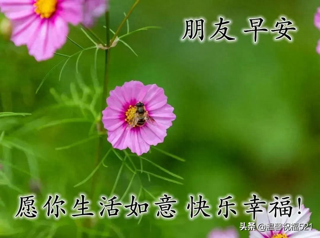 发条短信把你叫，催你早起对镜笑，营养早餐早备好，亲爱的，早安(图1)