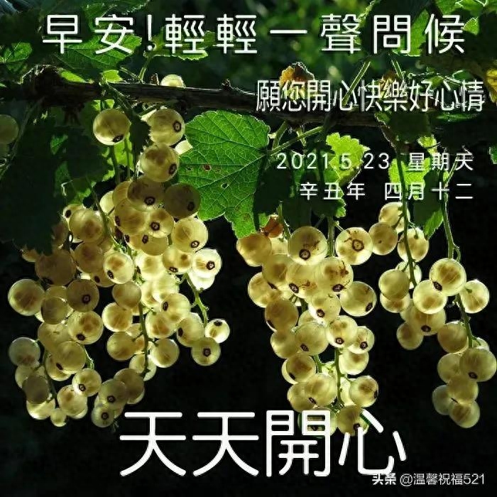 发条短信把你叫，催你早起对镜笑，营养早餐早备好，亲爱的，早安(图4)