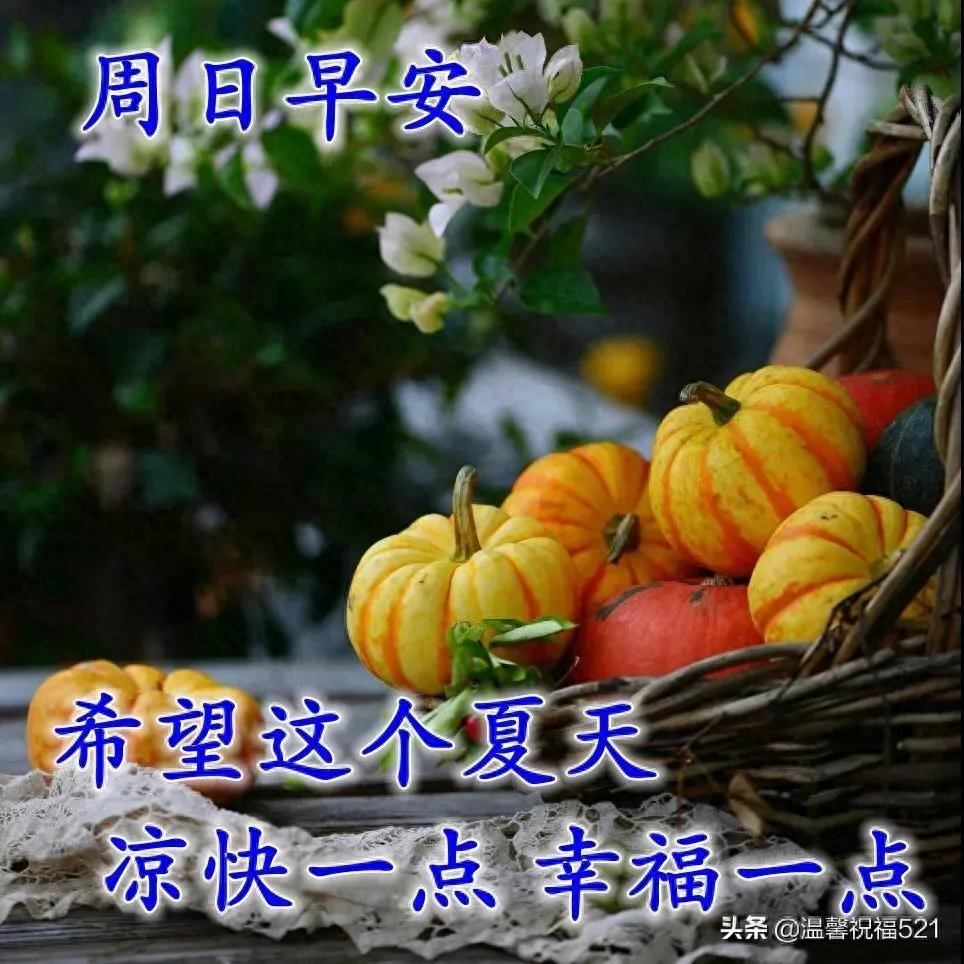 发条短信把你叫，催你早起对镜笑，营养早餐早备好，亲爱的，早安(图10)