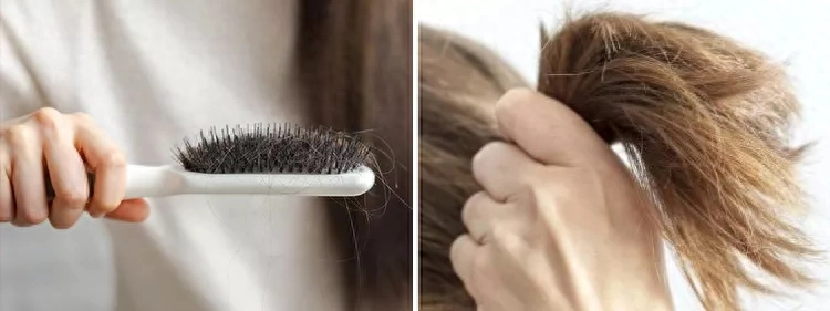 头发，是女人的第二张脸(图2)