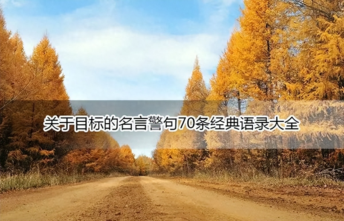 关于目标的名言警句70条经典语录大全(图1)