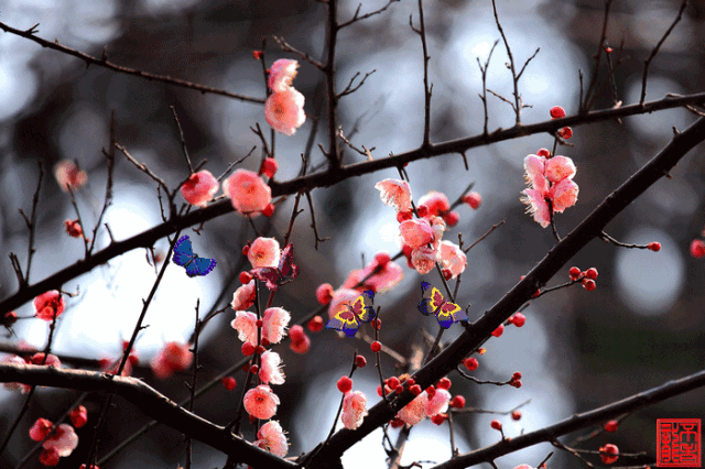 朱自清《春》，美极啦！(图2)