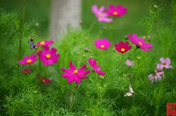 朱自清《春》，美极啦！(图5)