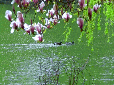 朱自清《春》，美极啦！(图6)