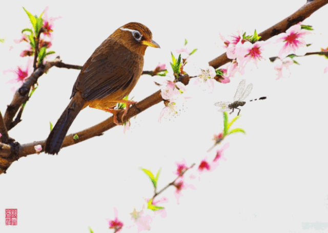 朱自清《春》，美极啦！(图8)