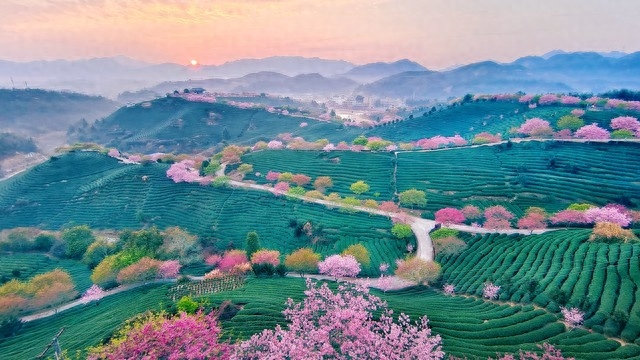 七年级《语文》第一课《春》从修辞手法的角度赏析句子(图1)