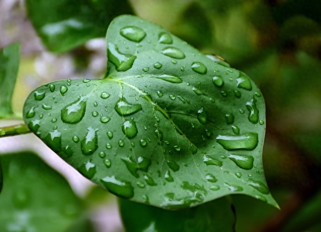 七年级《语文》第一课《春》从修辞手法的角度赏析句子(图4)