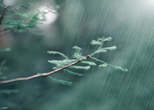 七年级《语文》第一课《春》从修辞手法的角度赏析句子(图5)