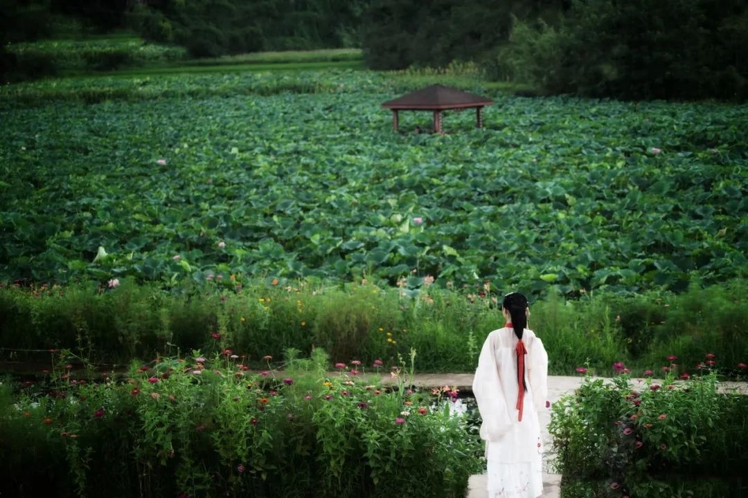 诗词丨史上最经典的100句“春”字飞花令，句句精华，值得收藏(图4)