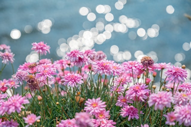 万千情丝，无法斩断，最深的爱，成了最深的想念(图2)