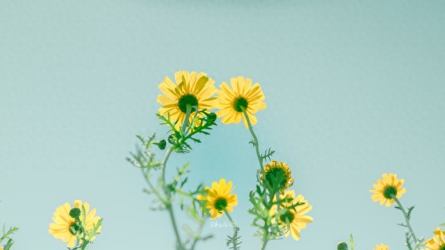 万千情丝，无法斩断，最深的爱，成了最深的想念(图3)