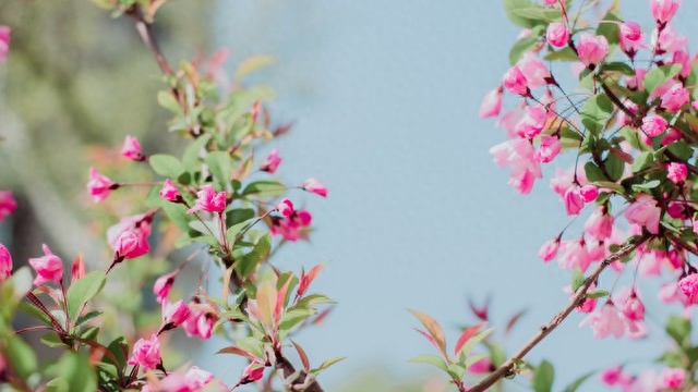 万千情丝，无法斩断，最深的爱，成了最深的想念(图4)