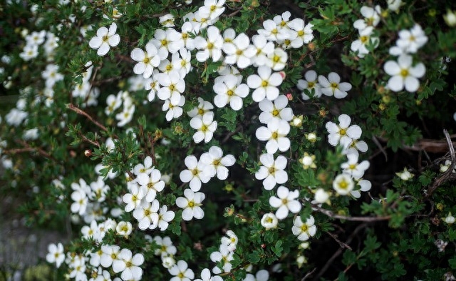 有一种爱，永远不会消失，有一种情，成了一生的守候(图1)