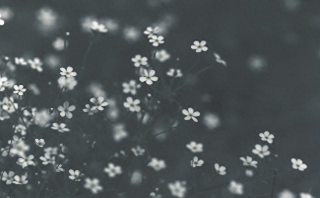 有一种爱，永远不会消失，有一种情，成了一生的守候(图3)