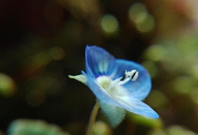 有一种爱，永远不会消失，有一种情，成了一生的守候(图5)