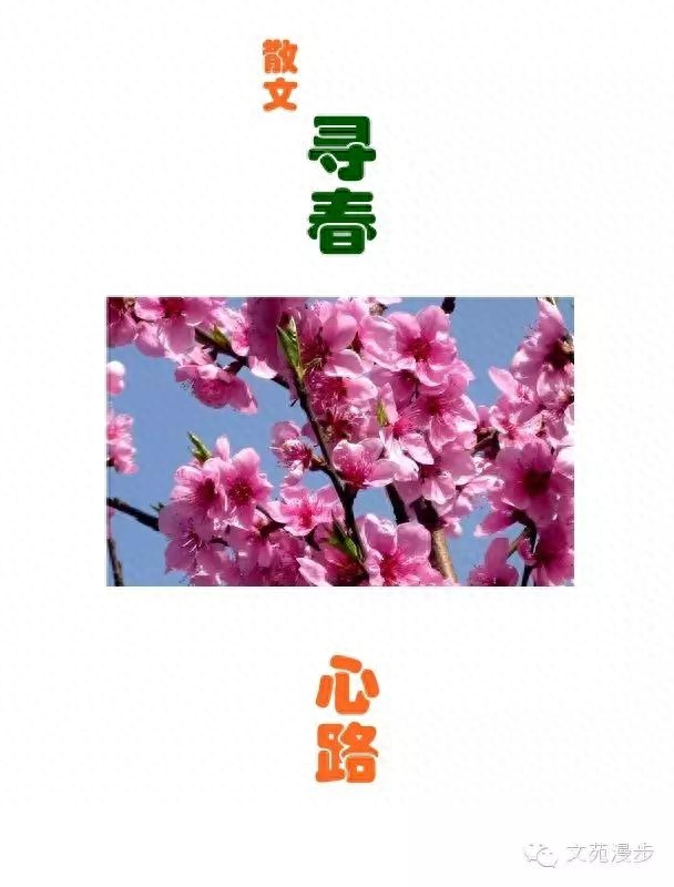 心路 : 寻春(图1) 心路 : 寻春(图1)